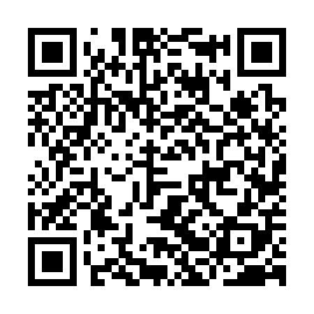QR code for IBV308