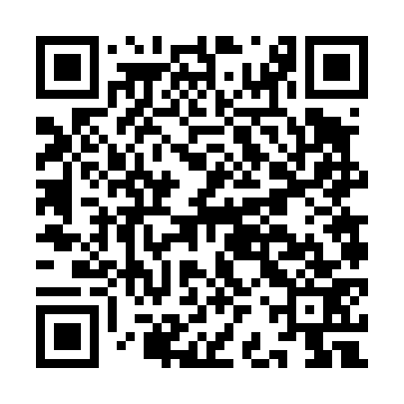 QR code for IBV473