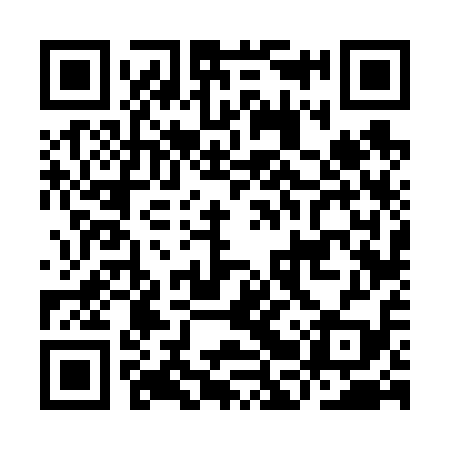 QR code for IBV619
