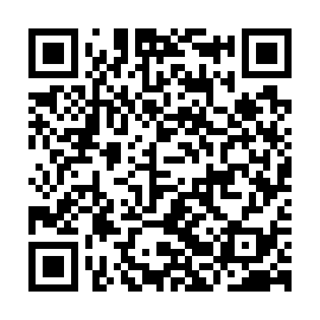 QR code for IBW739