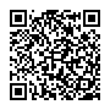 QR code for ICA169