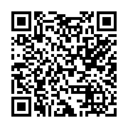 QR code for ICA295