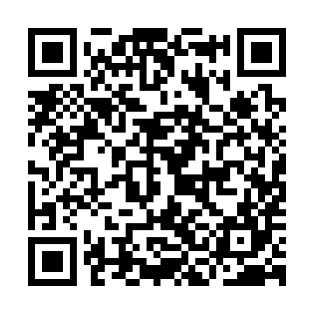 QR code for ICA384