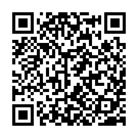 QR code for ICA389