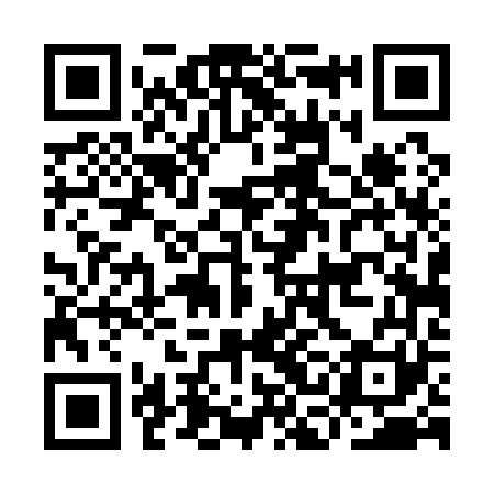 QR code for ICD161