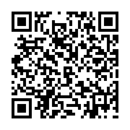 QR code for ICD370