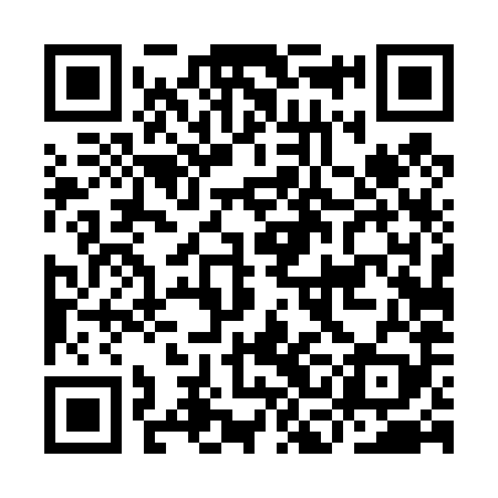 QR code for ICD489