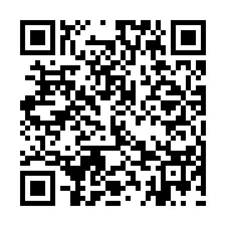 QR code for ICE213
