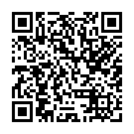 QR code for ICE318