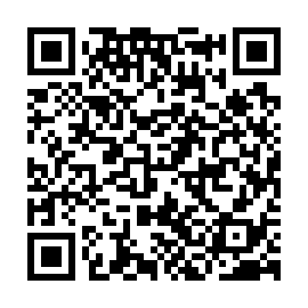 QR code for ICE738