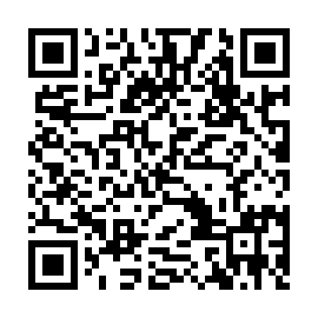 QR code for ICH991