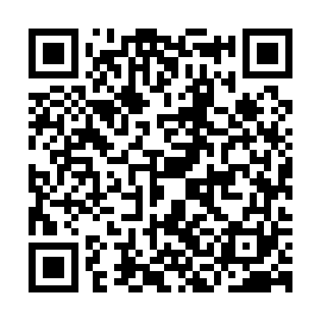 QR code for ICM161