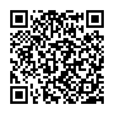 QR code for ICN291