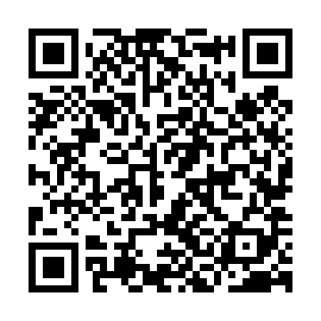 QR code for ICN489