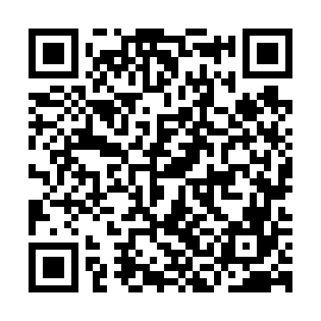 QR code for ICN666