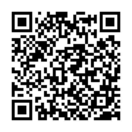QR code for ICN742