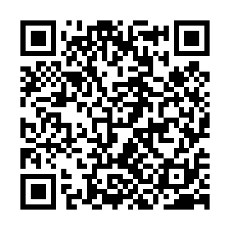 QR code for ICO411