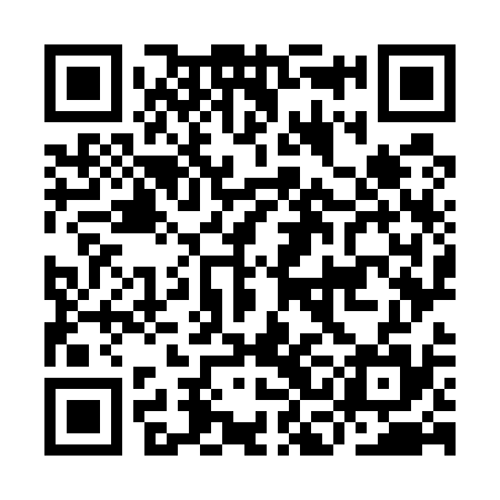 QR code for ICO535