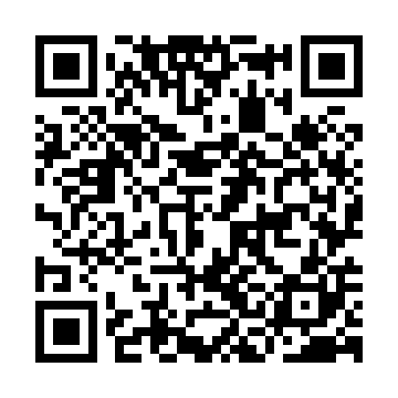 QR code for ICO800