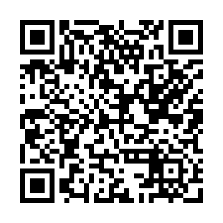 QR code for ICO913