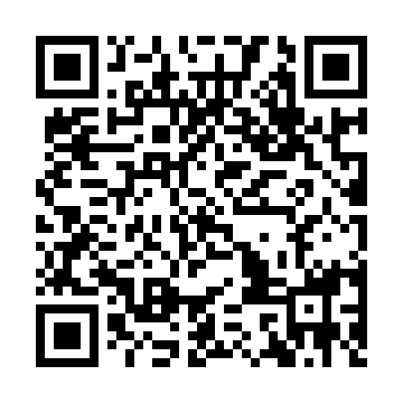 QR code for ICO918