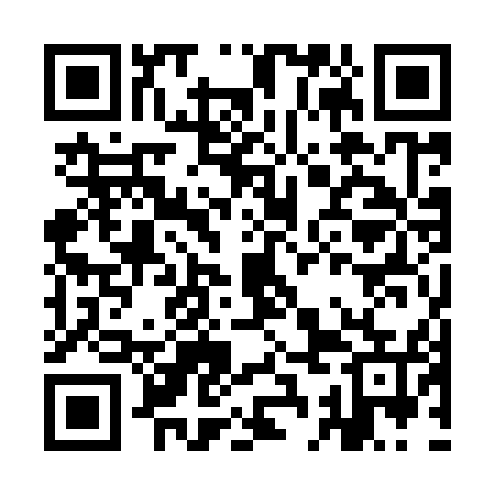 QR code for ICO955