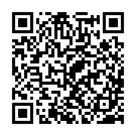 QR code for ICP383