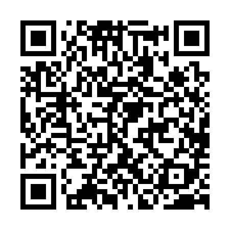 QR code for ICP389