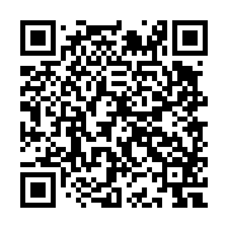 QR code for ICP486