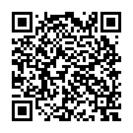 QR code for ICQ393