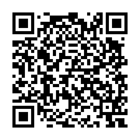 QR code for ICR495