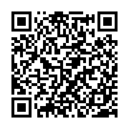 QR code for ICS207