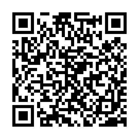 QR code for ICS493