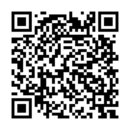 QR code for ICS595