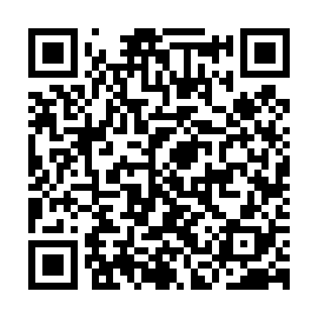 QR code for ICV428