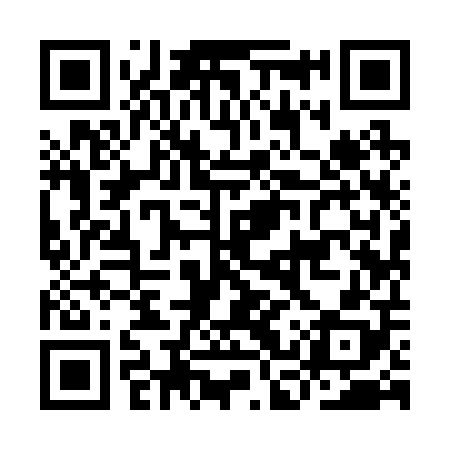 QR code for ICY208
