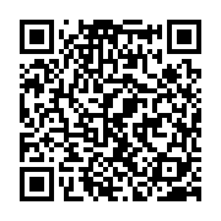 QR code for ICY369