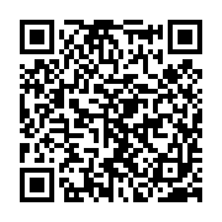 QR code for ICY493