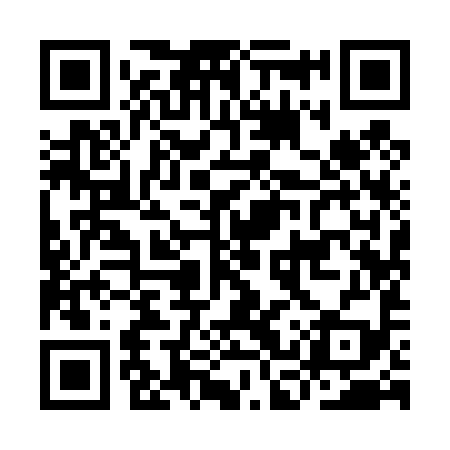 QR code for ICY499