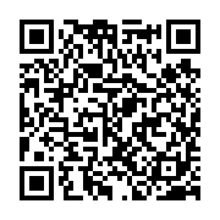 QR code for ICY691