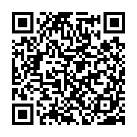 QR code for ICY750
