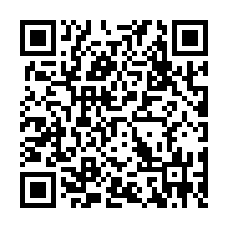 QR code for ICZ173