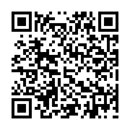 QR code for ICZ981