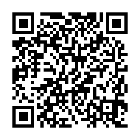 QR code for IDB991