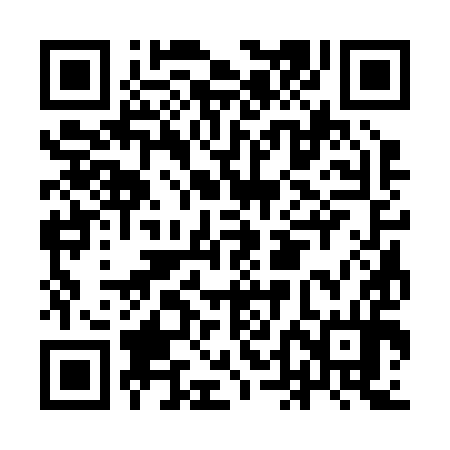 QR code for IDC294