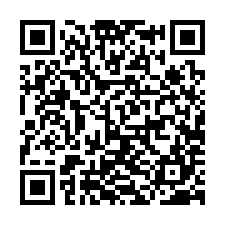 QR code for IDD384