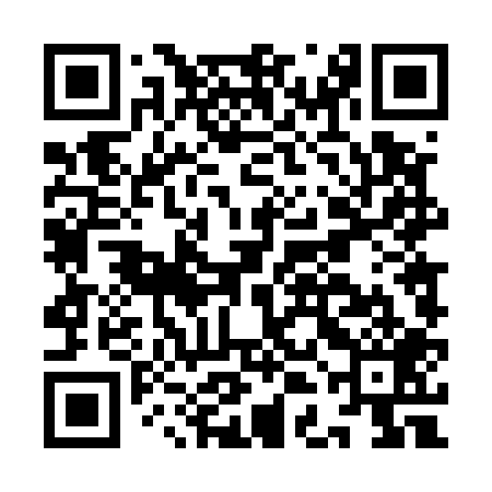 QR code for IDD509