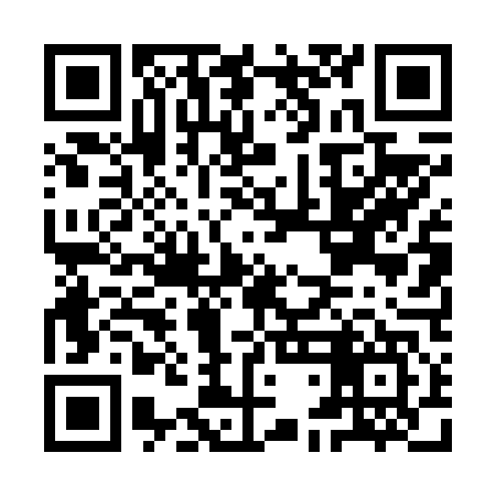 QR code for IDD647
