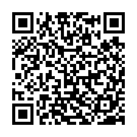 QR code for IDE655