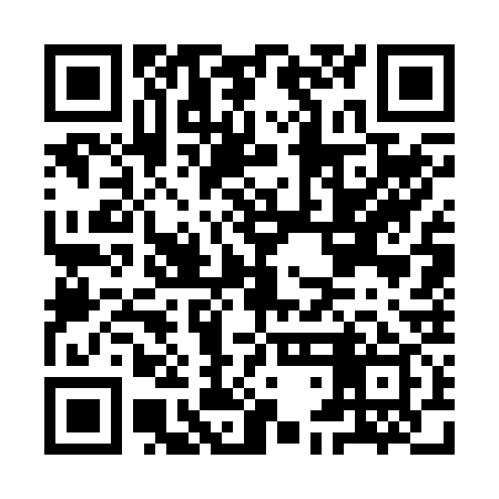 QR code for IDG239